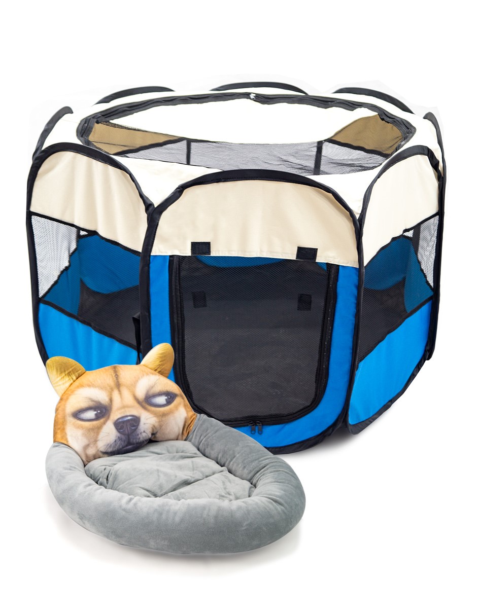KIT CARPA AZUL Y CAMA PARA MASCOTA